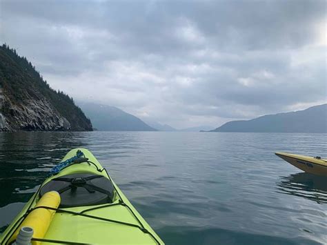 Alaska Sea Kayakers Day Trips Whittier 2021 All You Need To Know
