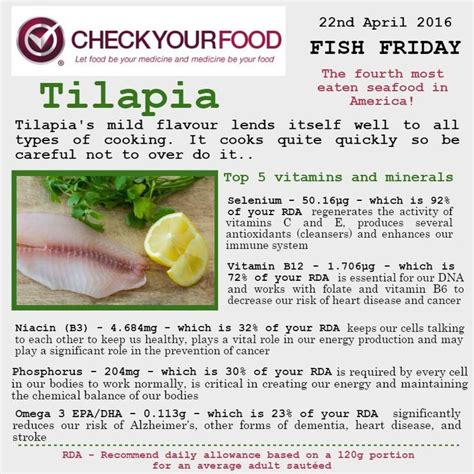 The Health Benefits Of Tilapia Check Your Food Healthy Benefits