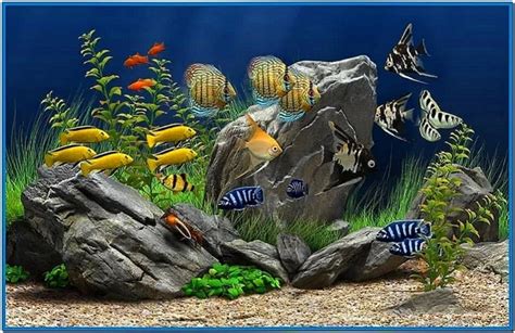 Fish Tank Screensaver Windows 8 Download Screensaversbiz