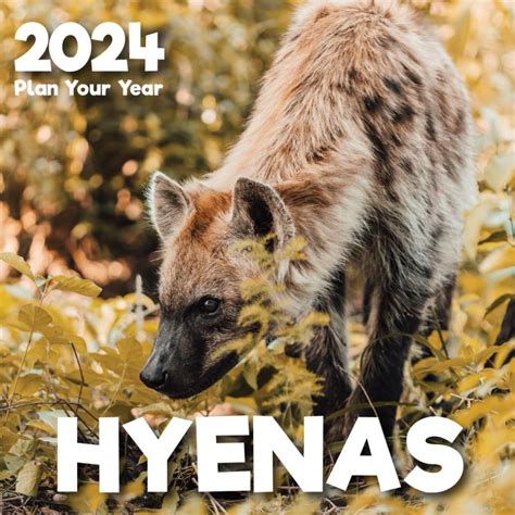 Buy Plan Your Year Hyenas 2024 Planning Is The Key To Success