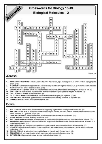 Biology Crosswords Set 1 Answers Provided Teaching Resources