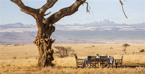 Lewa Wilderness In Laikipia Central Highlands Kenya Journeys By Design