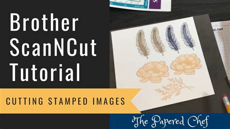 Brother Scanncut Tutorial Cutting Stamped Images Cm350 Black