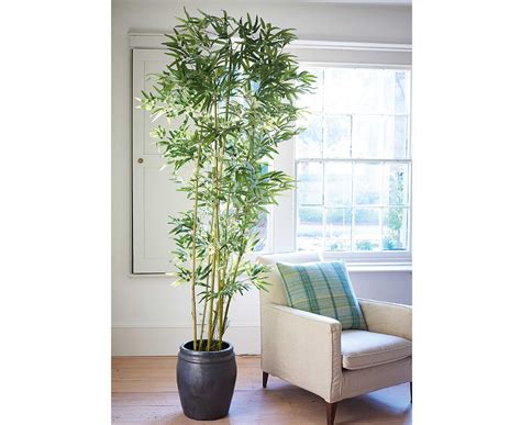 325 homemade recipes for bamboo shoots from the biggest global cooking community! Bloom 7Ft Potted Bamboo Artificial Flowers Peony Bouquet ...