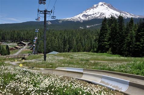 6 Awesome Alpine Slides In America For Thrill Seeking Families To Visit