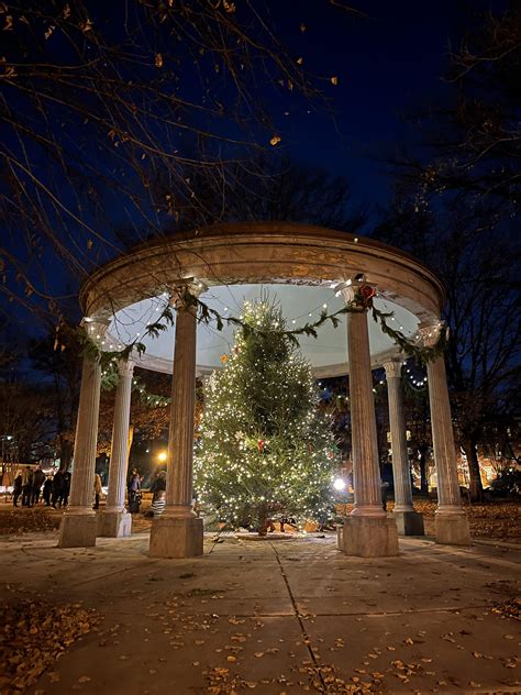 Union Square Tree Lighting : r/baltimore