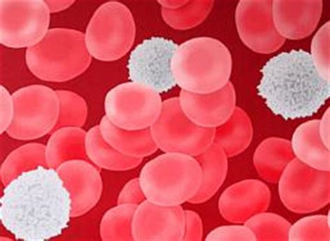 A low white blood cell count usually is caused by diseases of white blood cells, lymph nodes, spleen, and thymus. White Blood Cell Count | New Health Guide