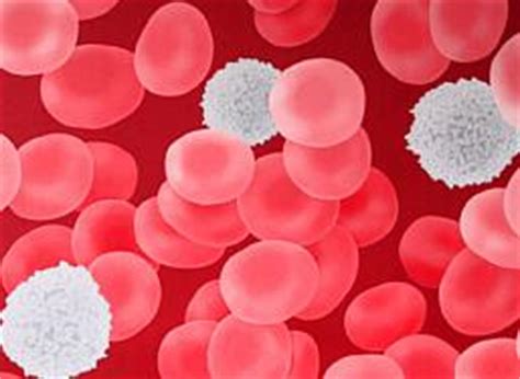 Leukocytosis is the condition in which the body has a higher level (more than 11,000 leukocytes per some of the bacterial and viral infections can cause leukocytosis. White Blood Cell Count | New Health Guide