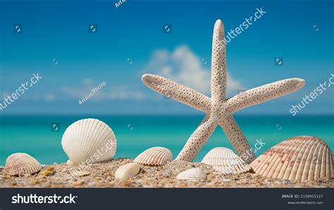 Sea Shells Starfish Beach Sand Seashells Stock Photo 2158915127