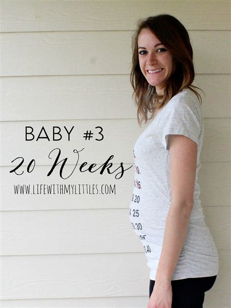 Baby 3 Pregnancy Update 20 Weeks Life With My Littles