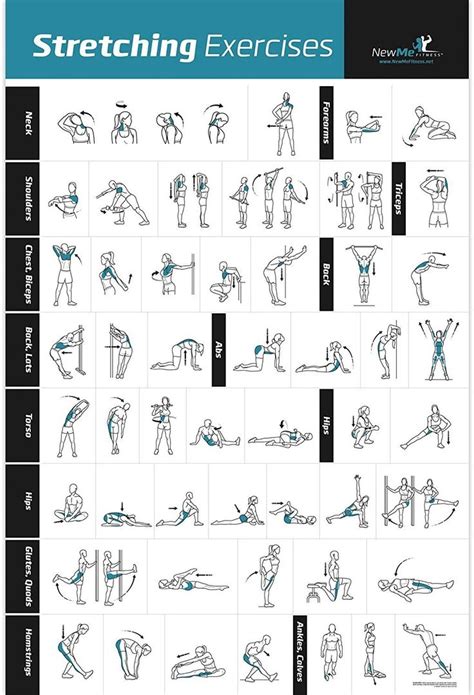 An Exercise Chart With Instructions For Stretching Exercises