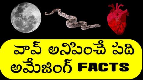10 Amazing Facts In Telugu Youtube