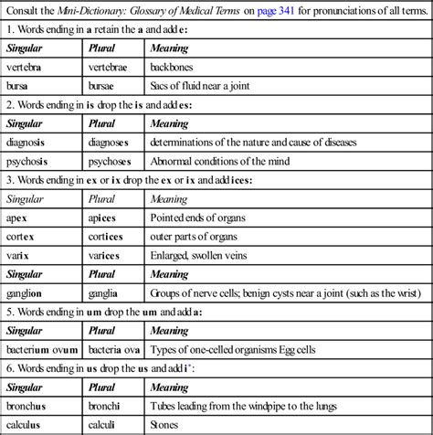 1 Basic Word Structure Basicmedical Key