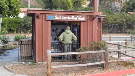 Will medicaid pay for a service dog. Pay $10 wash your dog at this self-service station in ...