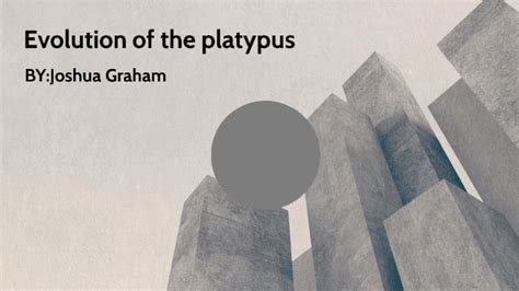 Evolution Of The Platypus By Joshua Graham On Prezi