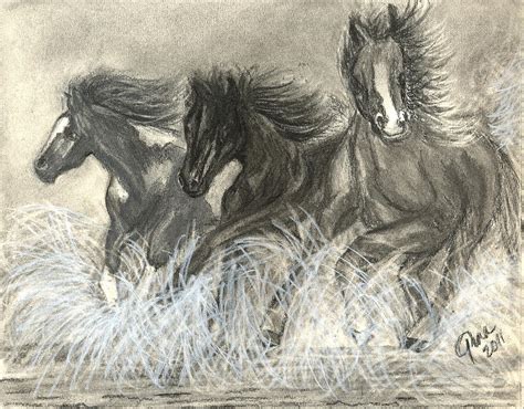 Wild Horses Run Drawing By Gina Cordova