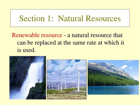 Ppt Holt Environmental Science Powerpoint Presentation Free Download
