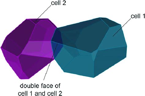 Double Face Between Two Adjacent Cells Download Scientific Diagram