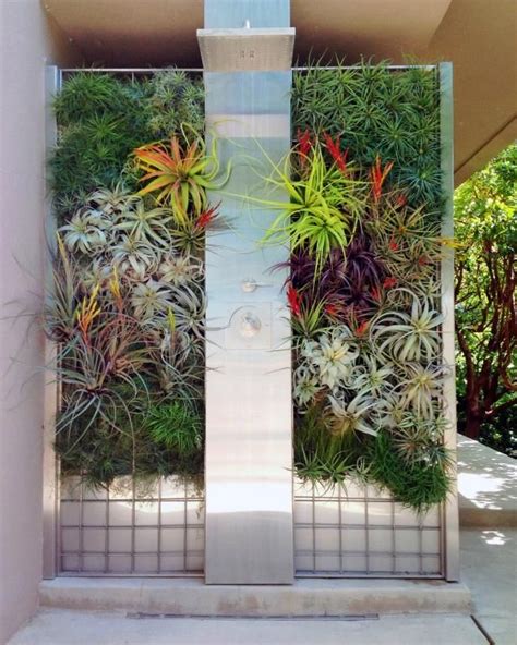 Vertical Garden Creates Showstopping Shower Plant Wall Bathroom