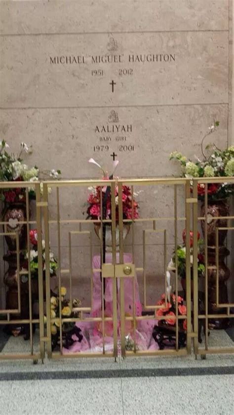 We update gallery with only quality interesting photos. Pin on عاليه