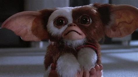‘gremlins 3 Chris Columbus Offers Update On Sequel Says Creatures Won