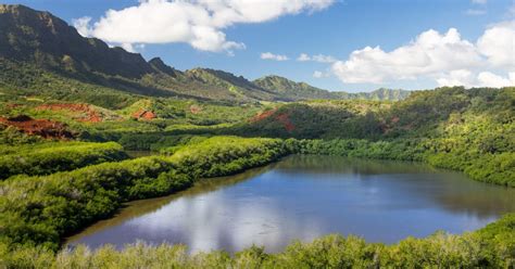 Lihue Kauai 2020 Les 10 Meilleures Visites Et Activités Avec Photos Choses à Faire