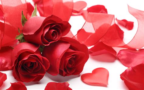Images Valentines Day Heart Red Rose Petals Flower 3840x2400