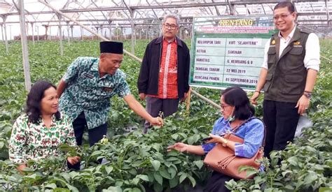 Semangat Petani Bkp Kementan Kembangkan Korporasi Usaha Tani Di Sembalun