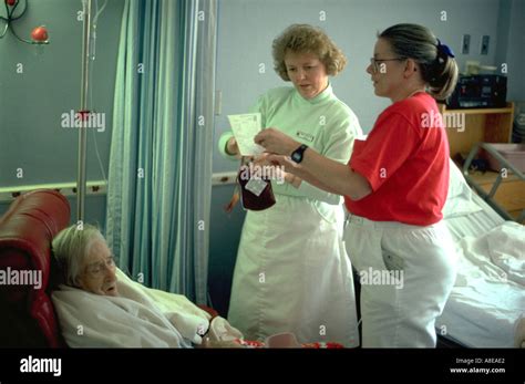 Nurses Giving Blood To Patient Age 90 And 40 In Hospital Hospice