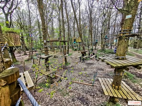 Sherwood Park The Tree Climbing Park In Northern Paris