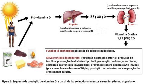ciência uenf coluna nutrição vitamina d