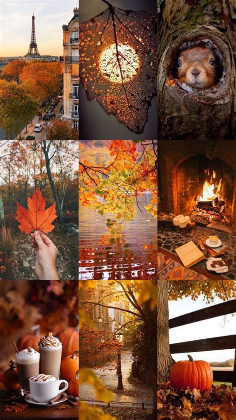 Pin By Christina Higgins Author Assis On Its Fall Yall Autumn