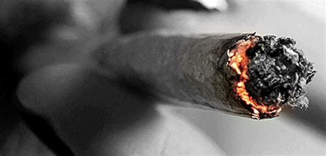 Jóvenes fuman más marihuana que cigarrillos SFM NEWS
