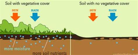 Fundamentals of soil science (soil formation soil formation chapter 2. Climate: Soil Forming Factor - QS Study