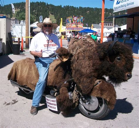 Buffalo Biker Glamour Hahahaha Sturgis Bike Week Sturgis Rally Bike