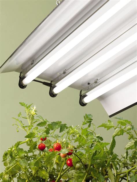 Compact fluorescent light bulbs (cfls) customer reviews. How to Troubleshoot and Repair Fluorescent Light Fixtures | Hunker