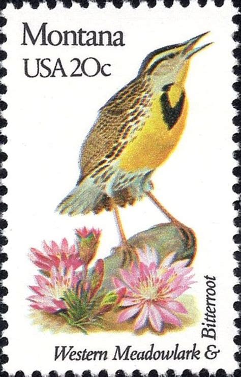 We have enjoyed bird watching and flower appreciation on many or our trips, and the state birds and flowers coloring book has provided her with a way to enhance her memories of happy times, as well as enjoy the coloring these birds and flowers have provided her with hours of reminiscing. Five 20c MONTANA State Bird and Flower stamp Vintage ...