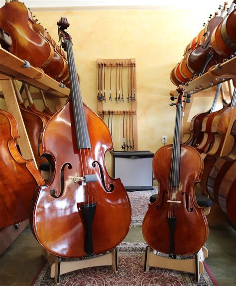 The Story Of The Bass And Cello Kc Strings