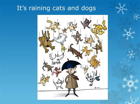 What Is Its Raining Cats And Dogs An Example Of