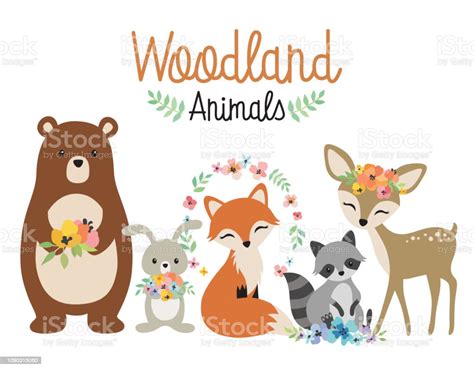 Woodland Forest Animals Vector Illustration Stock Illustration