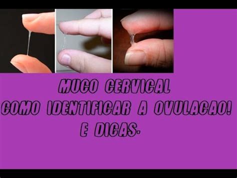 Muco Cervical Como identificar a ovulação Ga YouTube