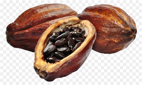 Galeri perbedaan gambar sketsa dan ilustrasi Terbaik - Sketsakini