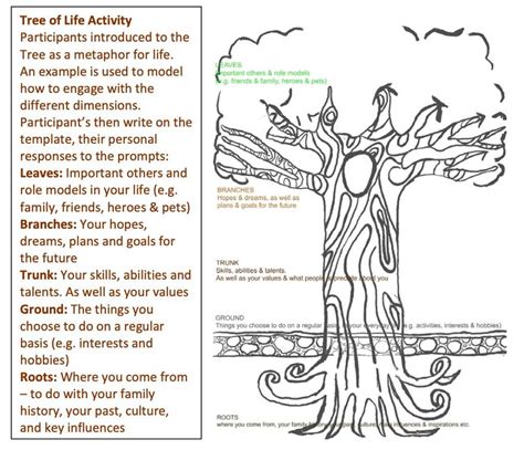 Tree Of Life Exercise Download Scientific Diagram