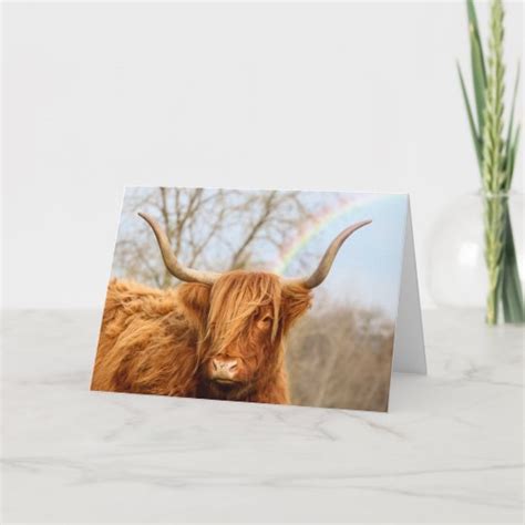 Highland Cow Birthday Card Uk