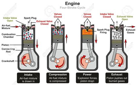Diesel cycle engines use heavy oil, diesel oil is the most common. Engine Four Stroke Cycle Infographic Diagram Including Stages
