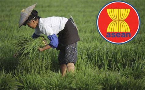 แนวทางการแก้ไขผลผลิตทางการเกษตรจากประเทศในกลุ่มอาเซียน | aec องค์กรความ ...