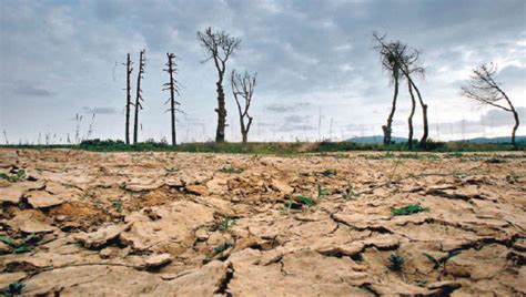 Las Zonas áridas Absorben El Co2 Entre Montañas