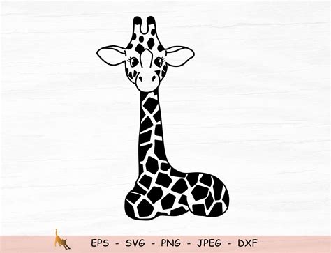 Giraffe Svg File Giraffe Cut File Safari Animals Svg Svg For Silhouette