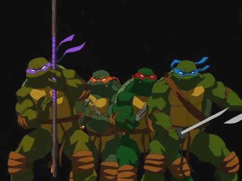 Tmnt 2003 Team By Rosewitchcat On Deviantart