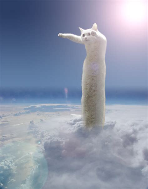 Meet Stewie The Worlds Longest Cat Obligatory Long Cat Gallery Ybmw